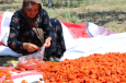 Проблемы продовольственной безопасности в Таджикистане