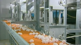 На фоне внутреннего дефицита Туркменистан экспортировал около 80 млн штук куриных яиц