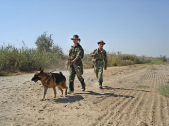 Инцидент на таджикско-кыргызской границе: кто провокатор?