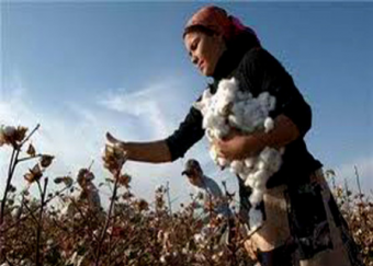 Бердымухамедов запретил использовать детский труд в сельскохозяйственных работах