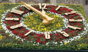 Цветочные часы за 20 миллионов тенге устанавливают в Атырау