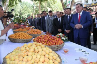 Россия решила забыть про запрет таджикской сельхозпродукции