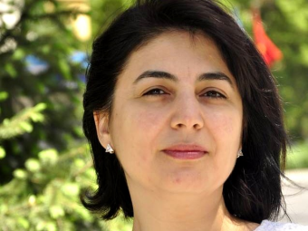 Аза Мигранян: Подготовка Киргизии к вхождению в ТС ведется неэффективно