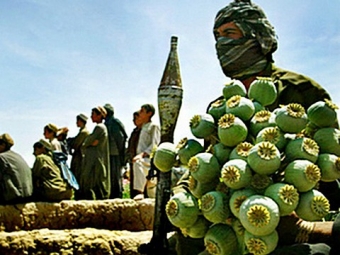 Булат Хисамутдинов: Выборы в Афганистане не повлияют на масштабы производства наркотиков 