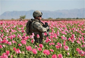 Об афганской и не только политике США