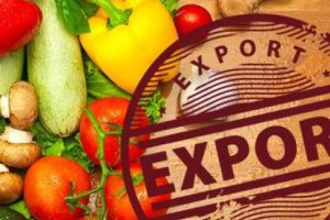 Всего 12 предприятий Кыргызстана имеют разрешение на экспорт сельхозпродукции в странах ЕАЭС