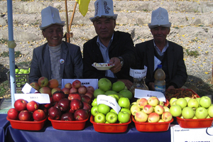 Кыргызы не знают, куда девать урожай