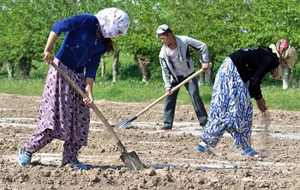 Земля в Таджикистане станет предметом купли-продажи