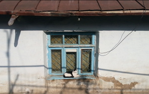 Право собственности забыто и попрано. Может ли президент Узбекистана решить проблему сноса жилых домов?