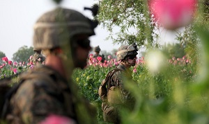 Военное присутствие США в Афганистане обеспечивает расширение международного наркобизнеса.