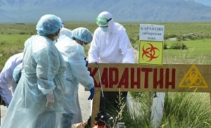 Сибирская язва угрожает людям и мешает развитию животноводства в Кыргызстане
