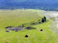 Берельские курганы превратятся в музей