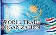 Вступление в ВТО не осчастливило Казахстан