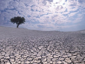 Модест Колеров: Новые координаты Средней Азии