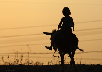 История Узбекистана начала XX века в контексте Евразийских процессов