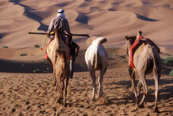 Арабские путешественники на Великом шелковом пути. (IX-Xв.в.)