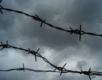 Колючая проволока, которой правительство обнесло анклав Сох, только усугубит конфликты - мнение