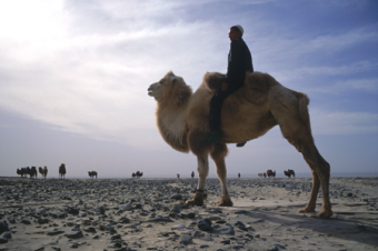 Маршруты Великого Шелкового пути