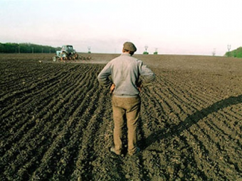 СМИ: Китай скупает землю на Украине