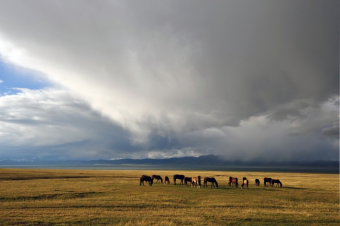 Ноэль Браун - охотник за приключениями в Кыргызстане