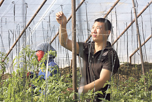 Земли - китайцам, проблемы - таджикским дехканам