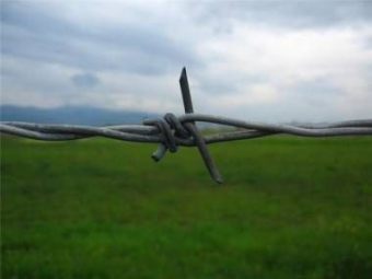 Туркменско-Афганская граница: Проблемы и перспективы