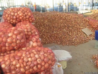 Азиатское плечо. Таджикистан поможет России сельхозпродукцией