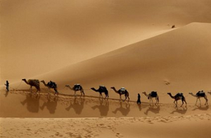 Шелковый путь на трех дорогах. Китай и ЕАЭС обсудили главный инфраструктурный проект