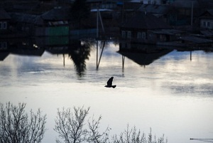 Таджикистан получил от Казахстана гумпомощь на $2,7 миллионов