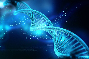 ДНК-исследование подтвердило родство казахов с андроновцами и гуннами