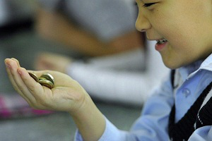 2015-й в цифрах: экономические занимательные факты об уходящем годе