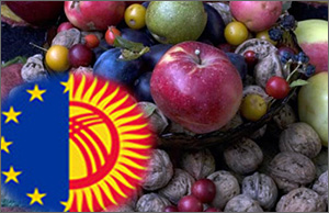 Присвоение Кыргызстану статуса ВСП+ - политическое решение?