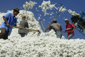 ТПП России заинтересована в поставках туркменской продукции