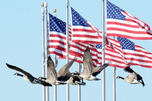 Фрейминг, публичная дипломатия и анти-американизм в Центральной Азии