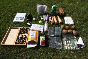 В чем наркоторговцы провозят героин в Центральную Азию?