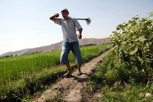 Первая весна Кыргызстана в составе ЕАЭС 