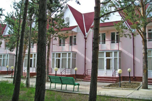 Кыргызстан вернул в собственность 12 объектов, ранее используемых Узбекистаном