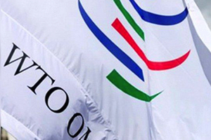 Туркменистан обсудил вопросы партнерства с ВТО