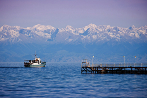 Кыргызстан задумался, что предложить туристам