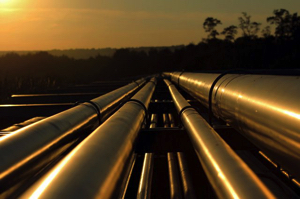 ТАПИ: успехи и трудности реализации