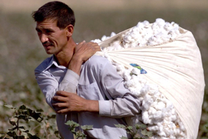 Утроение ВВП. В чем секрет узбекского экономического чуда