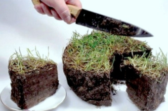 В Казахстане приостановили передачу земли в аренду иностранцам