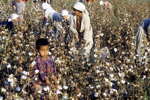 Текстильная отрасль Туркмении переходит на импортозамещение