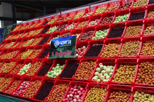 Таджикские предприниматели ищут пути экспорта продукции в ЕАЭС