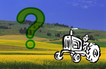 Назарбаев продлил мораторий на поправки в Земельный кодекс на пять лет