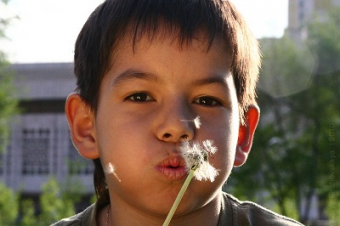 30 тысяч граждан Казахстана ежегодно уезжают из страны на ПМЖ