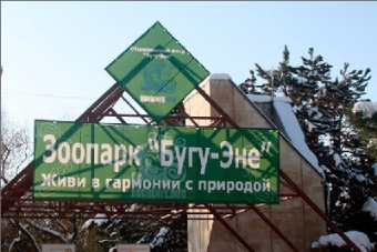 Люди и звери: Почему единственному в Кыргызстане зоопарку грозила смертельная диета
