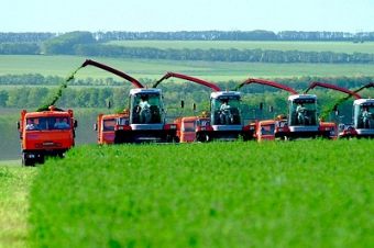 Xinhua: Китай должен построить Зерновой коридор в Центральной Азии - эксперт