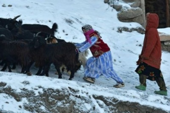 Детский труд в Таджикистане: «Надо работать, чтобы прокормить себя и родных»