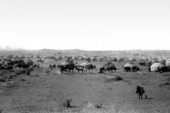 10 фактов о местном самоуправлении у казахов Российской империи